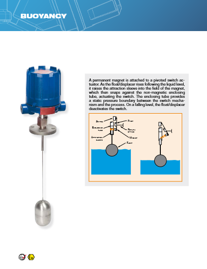 Float & Displacer Level Switch